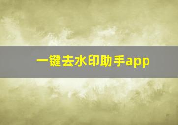 一键去水印助手app