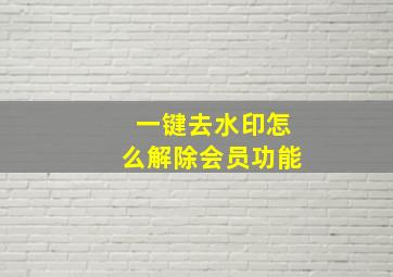 一键去水印怎么解除会员功能