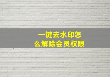 一键去水印怎么解除会员权限