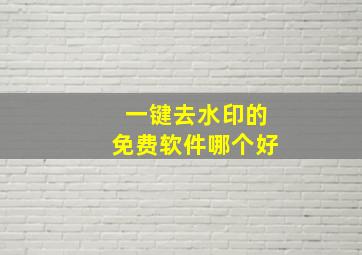 一键去水印的免费软件哪个好