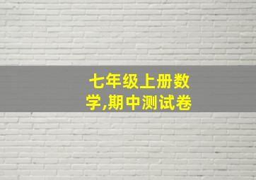 七年级上册数学,期中测试卷