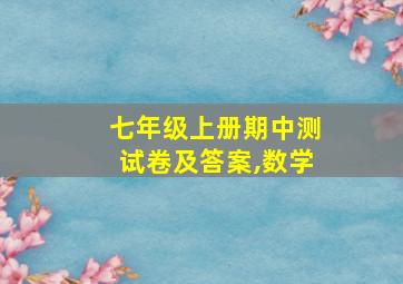 七年级上册期中测试卷及答案,数学