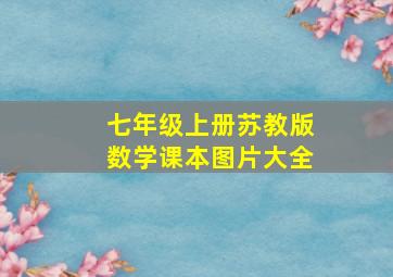 七年级上册苏教版数学课本图片大全