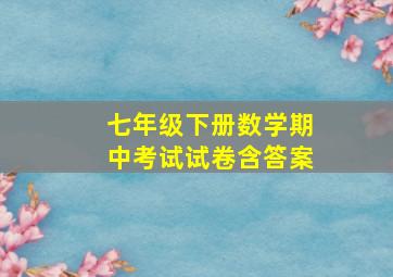 七年级下册数学期中考试试卷含答案