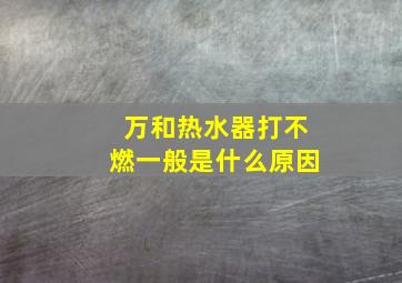 万和热水器打不燃一般是什么原因