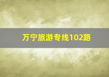 万宁旅游专线102路