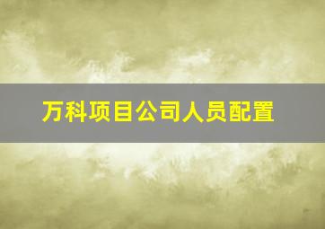 万科项目公司人员配置