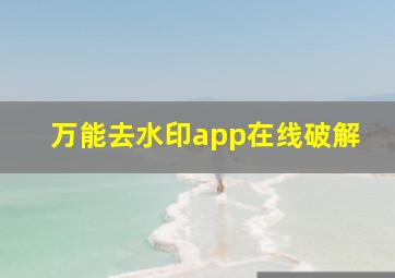 万能去水印app在线破解