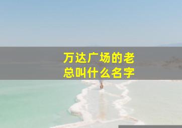 万达广场的老总叫什么名字