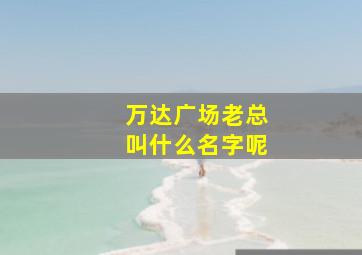 万达广场老总叫什么名字呢