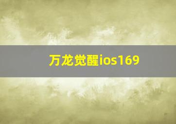 万龙觉醒ios169