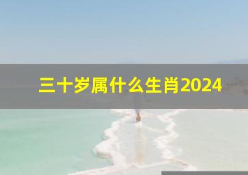 三十岁属什么生肖2024