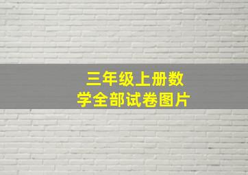 三年级上册数学全部试卷图片