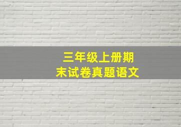 三年级上册期末试卷真题语文