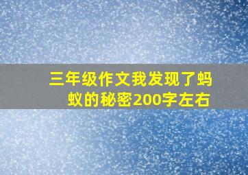 三年级作文我发现了蚂蚁的秘密200字左右