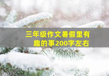 三年级作文暑假里有趣的事200字左右