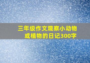 三年级作文观察小动物或植物的日记300字