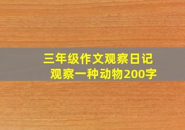 三年级作文观察日记观察一种动物200字