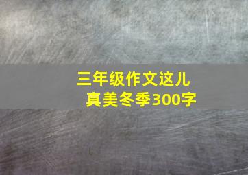 三年级作文这儿真美冬季300字