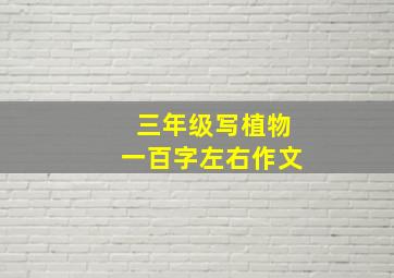 三年级写植物一百字左右作文