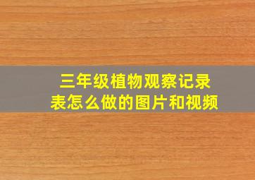 三年级植物观察记录表怎么做的图片和视频