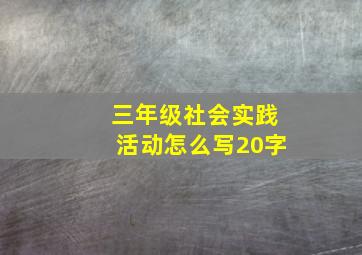 三年级社会实践活动怎么写20字