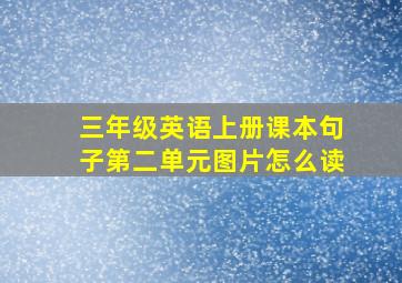 三年级英语上册课本句子第二单元图片怎么读