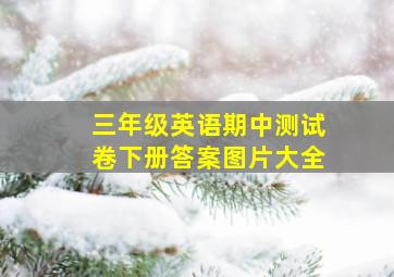 三年级英语期中测试卷下册答案图片大全