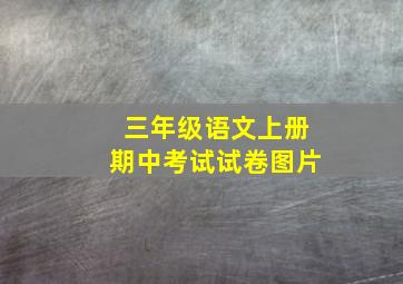 三年级语文上册期中考试试卷图片