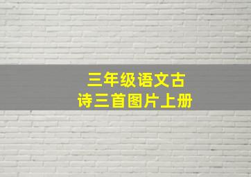 三年级语文古诗三首图片上册