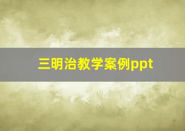 三明治教学案例ppt