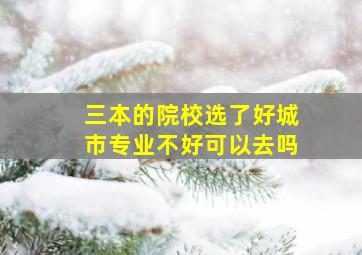 三本的院校选了好城市专业不好可以去吗