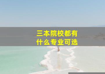 三本院校都有什么专业可选