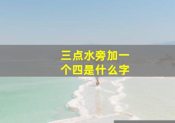 三点水旁加一个四是什么字