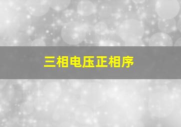 三相电压正相序