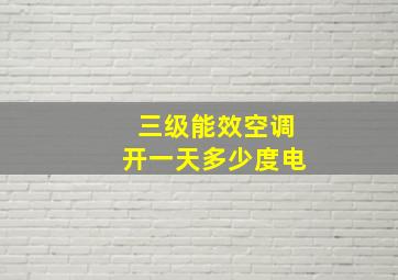 三级能效空调开一天多少度电