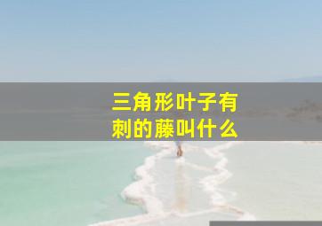 三角形叶子有刺的藤叫什么