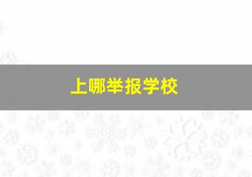 上哪举报学校