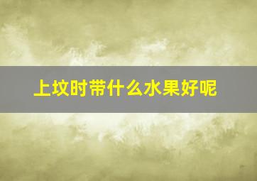 上坟时带什么水果好呢