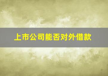 上市公司能否对外借款