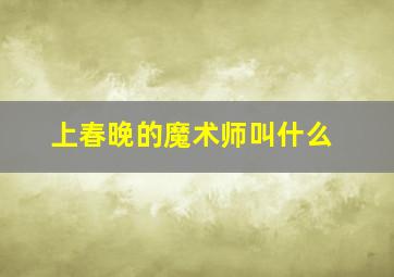 上春晚的魔术师叫什么