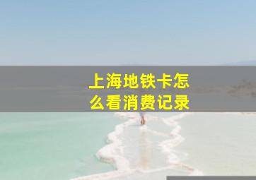 上海地铁卡怎么看消费记录