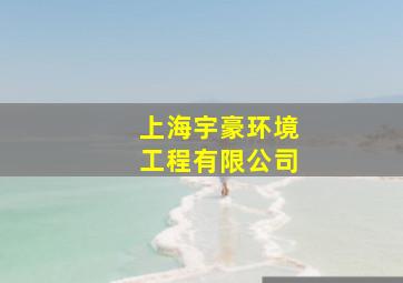 上海宇豪环境工程有限公司