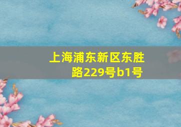 上海浦东新区东胜路229号b1号