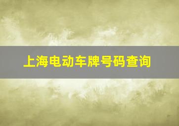 上海电动车牌号码查询