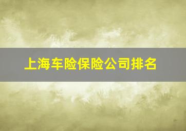 上海车险保险公司排名