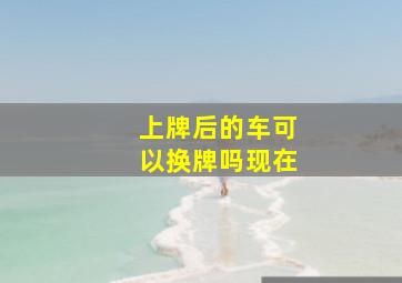 上牌后的车可以换牌吗现在