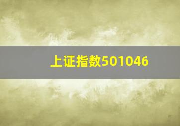 上证指数501046