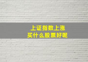 上证指数上涨买什么股票好呢