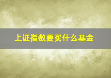 上证指数要买什么基金